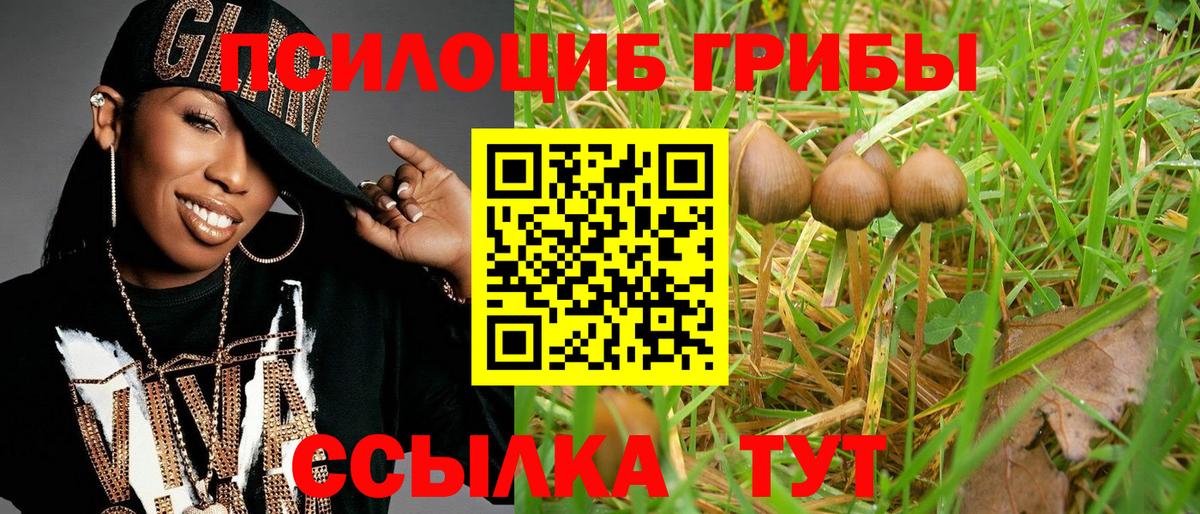 Галлюциногенные грибы мицелий  Вход с VPN  как найти закладки  Галлюциногенные грибы прущие грибы  Белорецк 